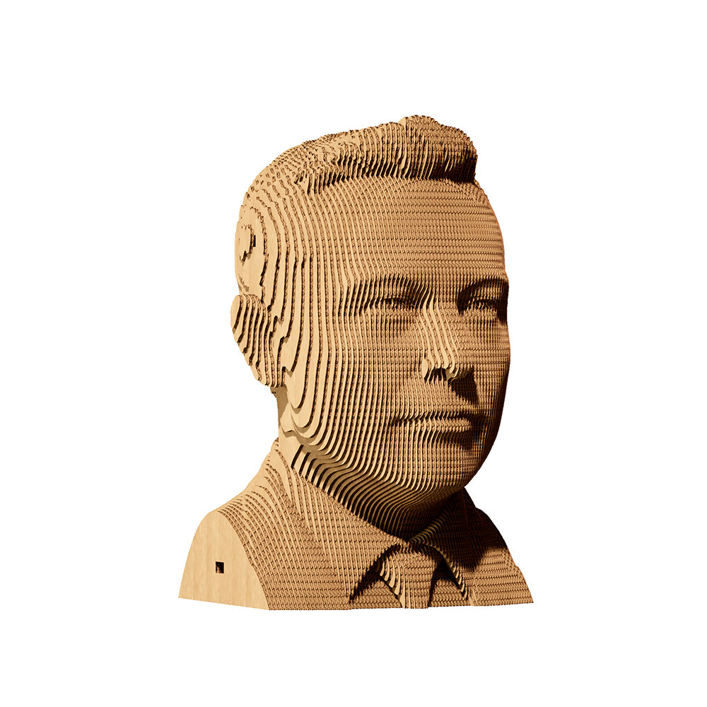 ELON MUSK 3D Puzzle by Cartonic