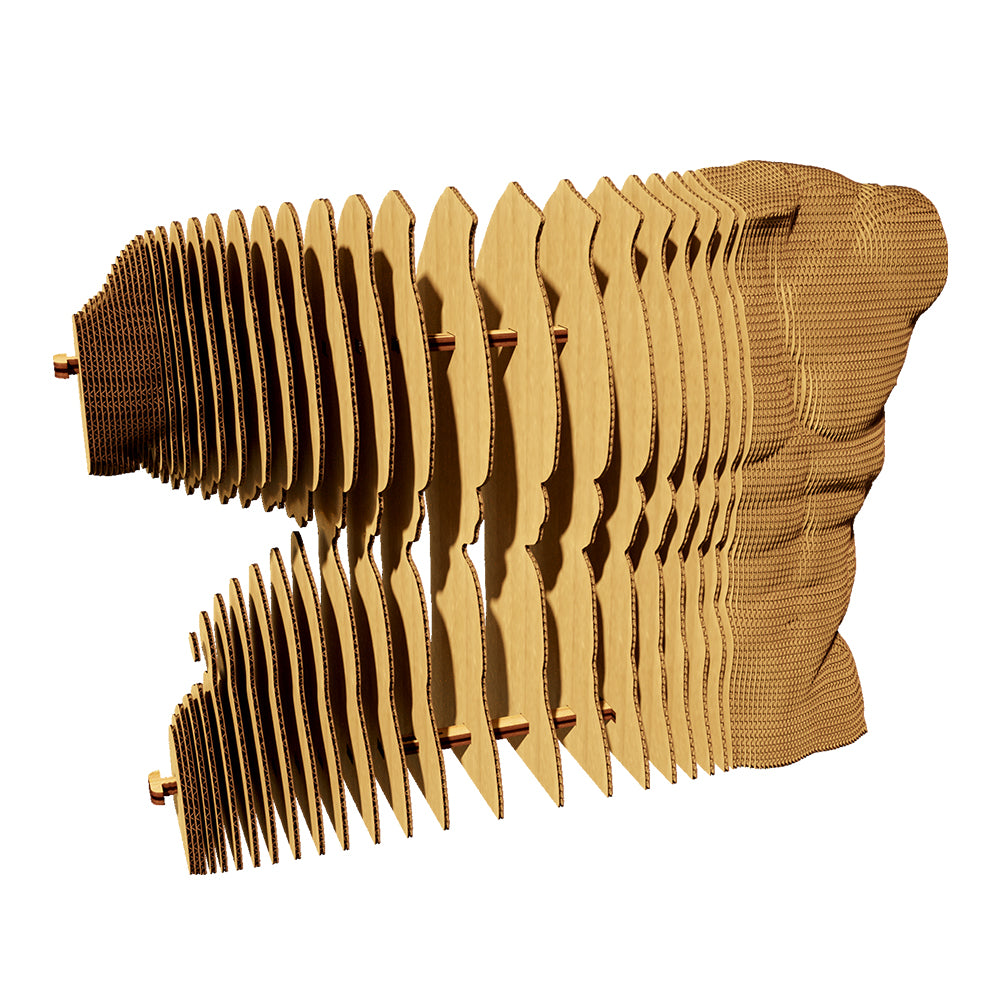 Cartonic TORSO M 3D Puzzle